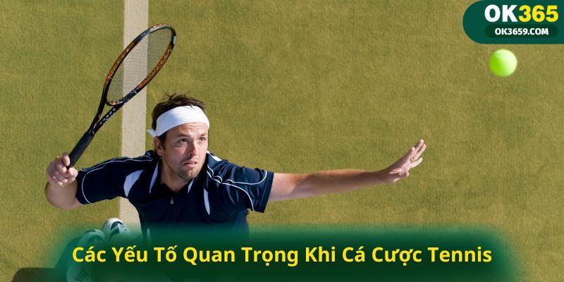 Các Yếu Tố Quan Trọng Khi Cá Cược Tennis